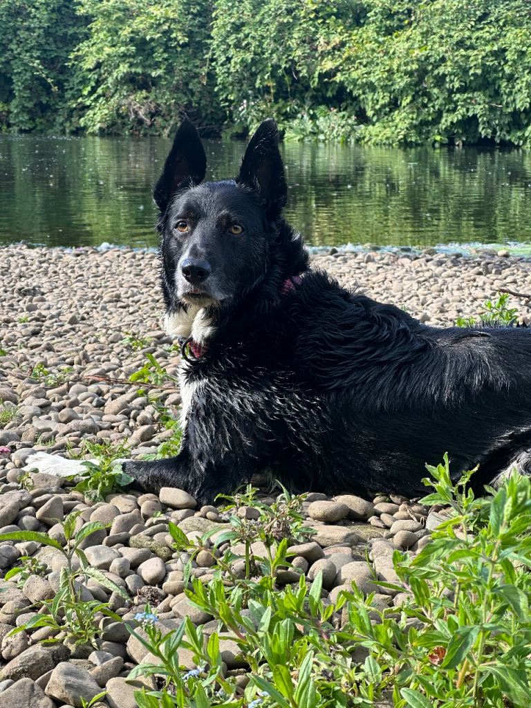 A girl, nearly 5 years old