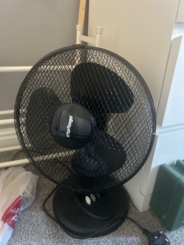 Fan
