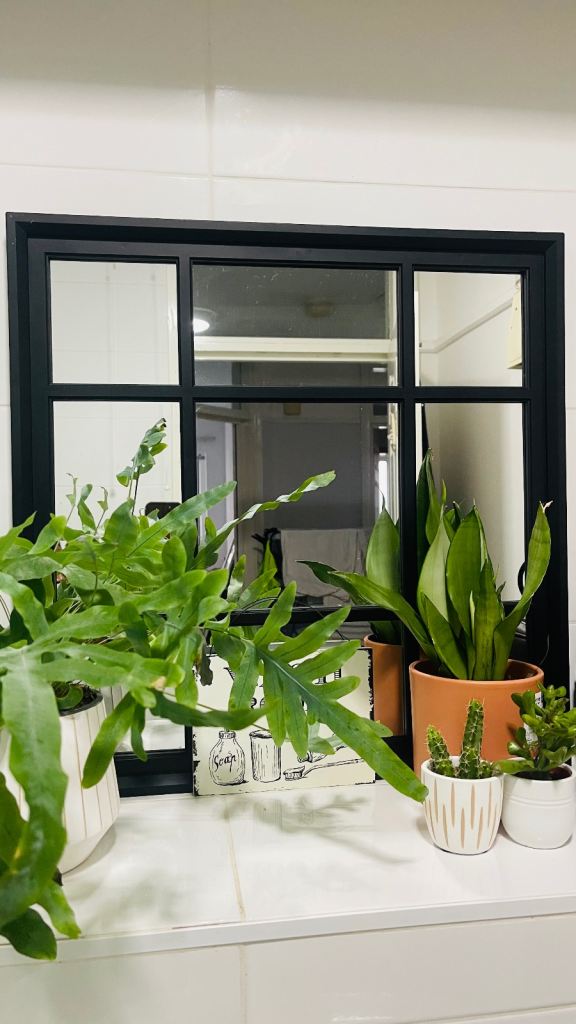 Beautiful decorative mirror 