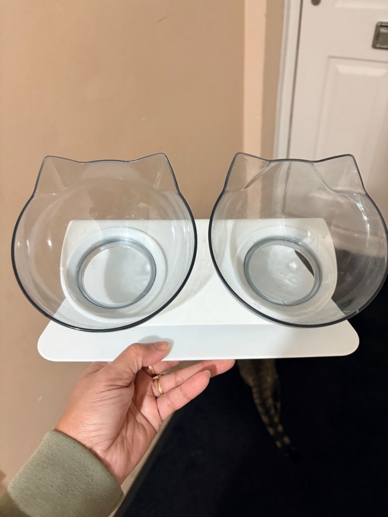 Raised cat bowl with stand 