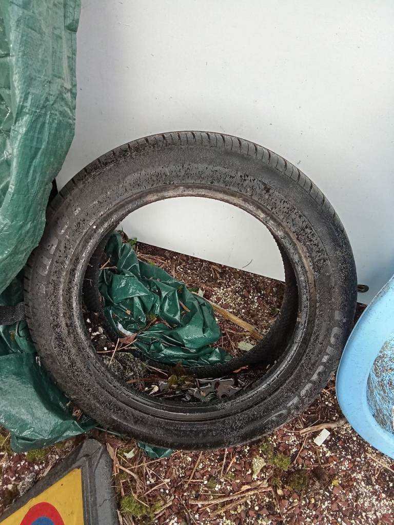 Useless old car tyre - for craft or planting project?