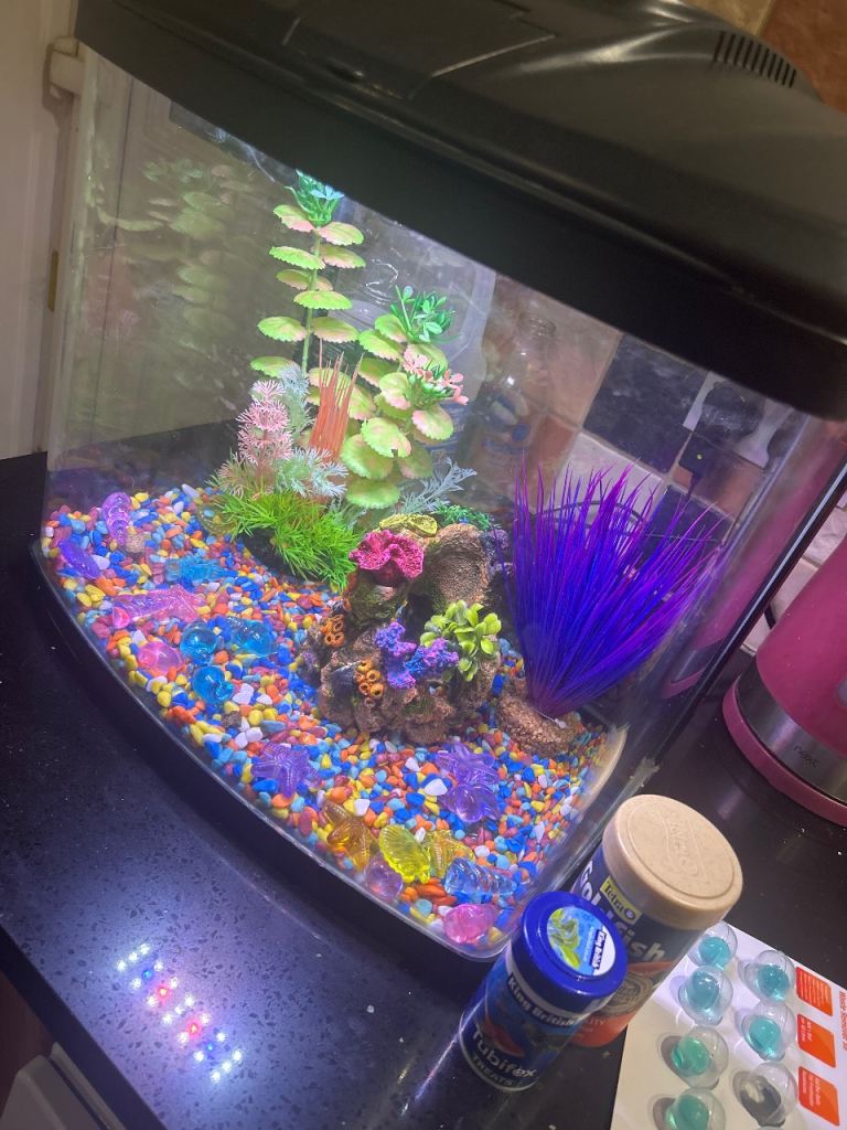 Aquarium (Tank Only) - Good Condition