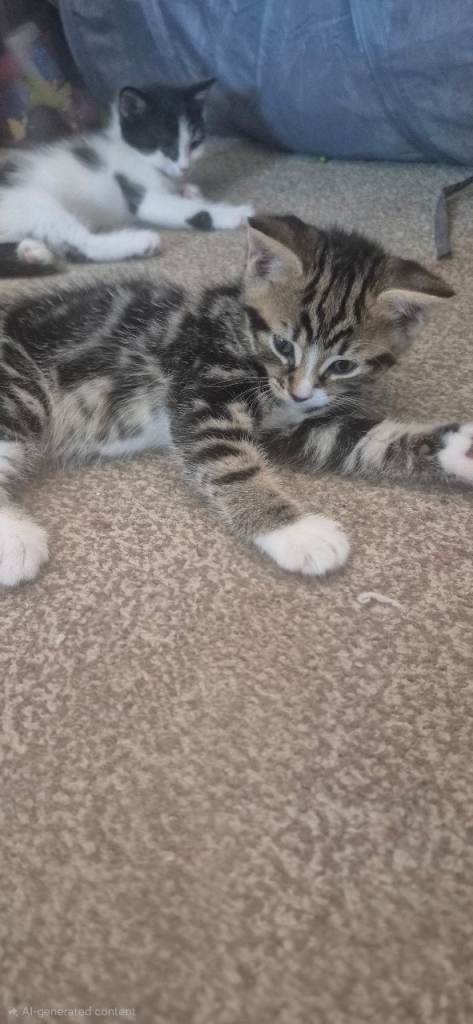 Little fluffs 