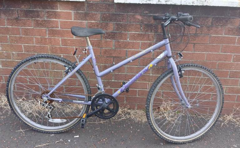 Girl's mountain bike 