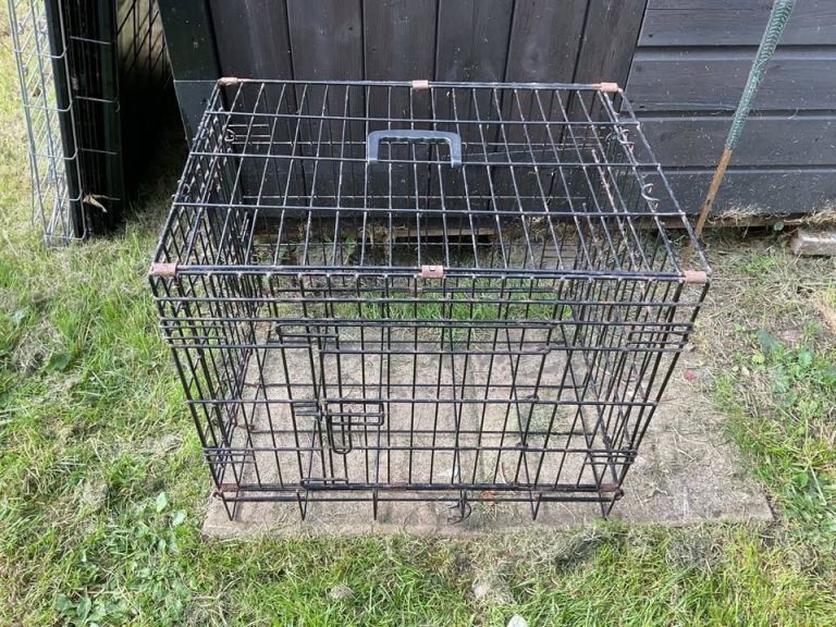 Dog Cage