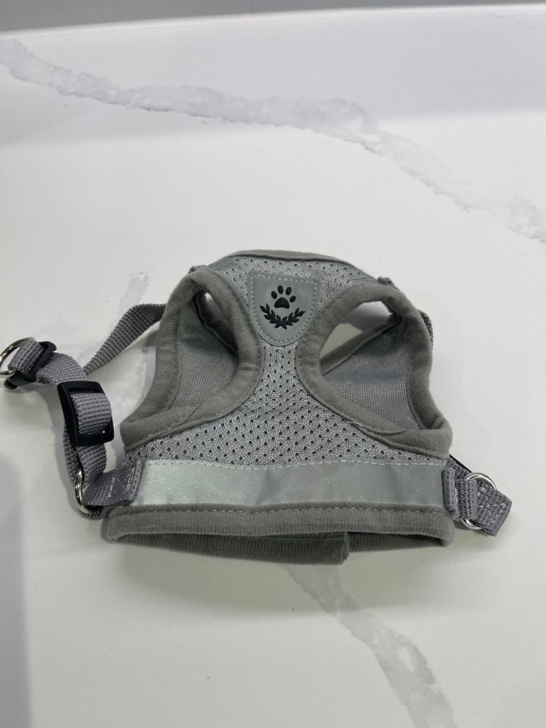 Puppy dog harness & lead XS 