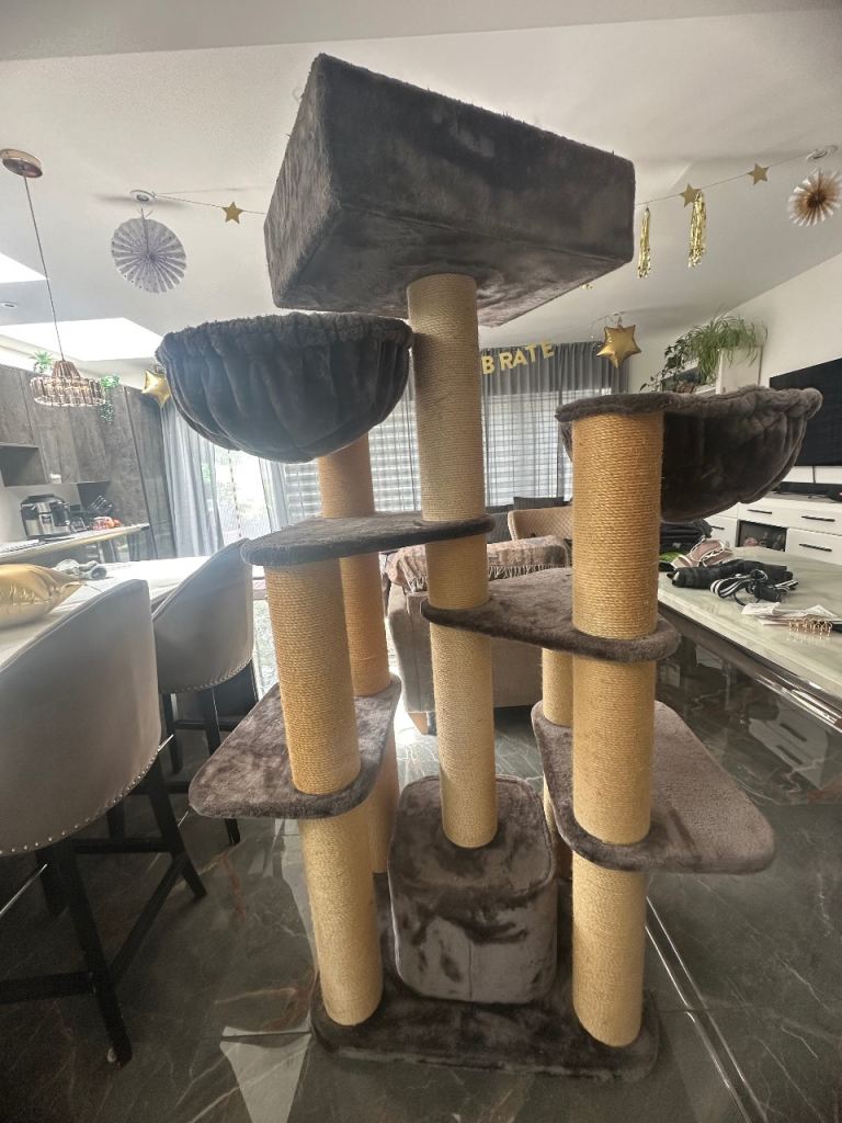 Cat scratcher
