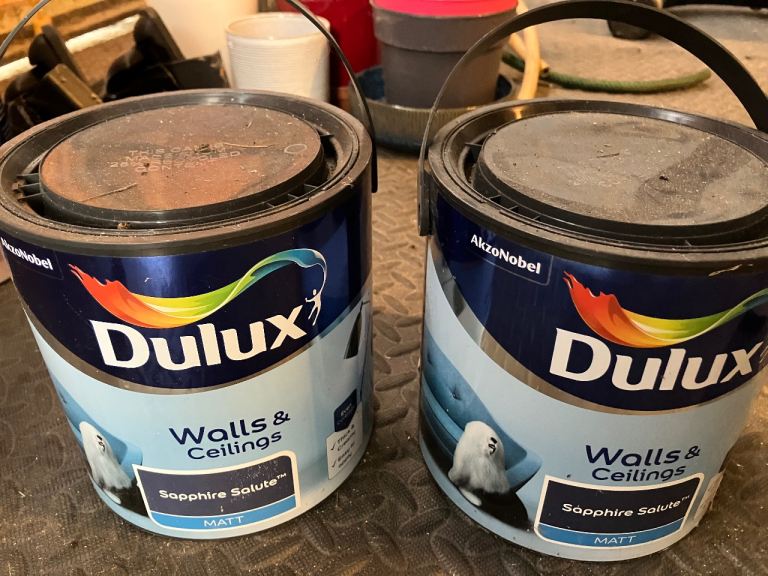 Dulux Paint