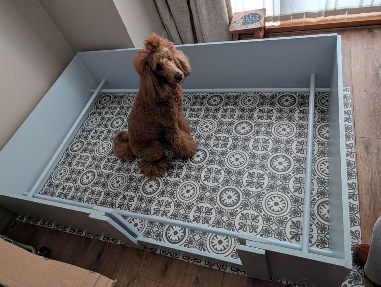 Whelping box 