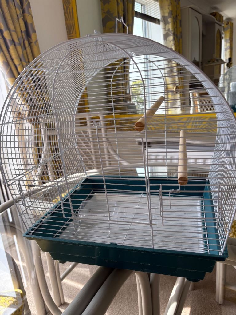 Bird cage 