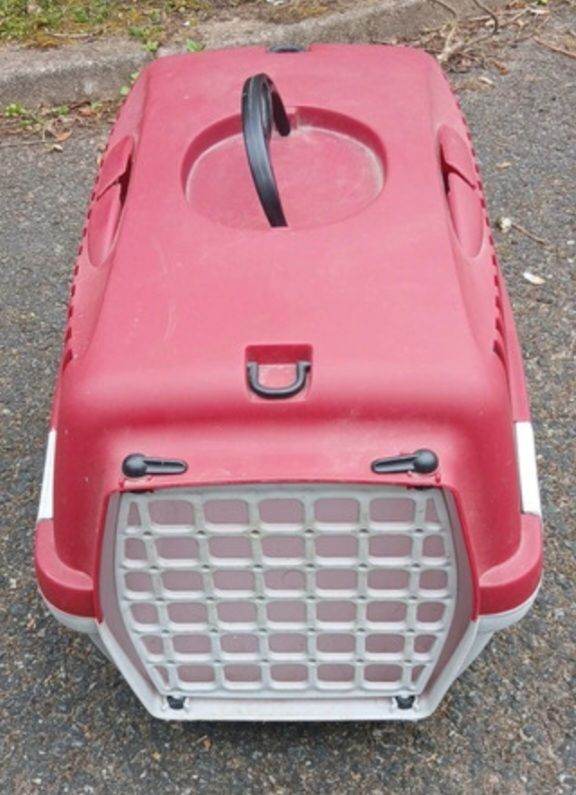 Cat carrier transport cage box crate small animal rabbit