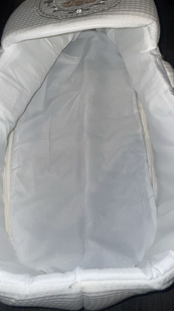 Mini chicks Moses basket 