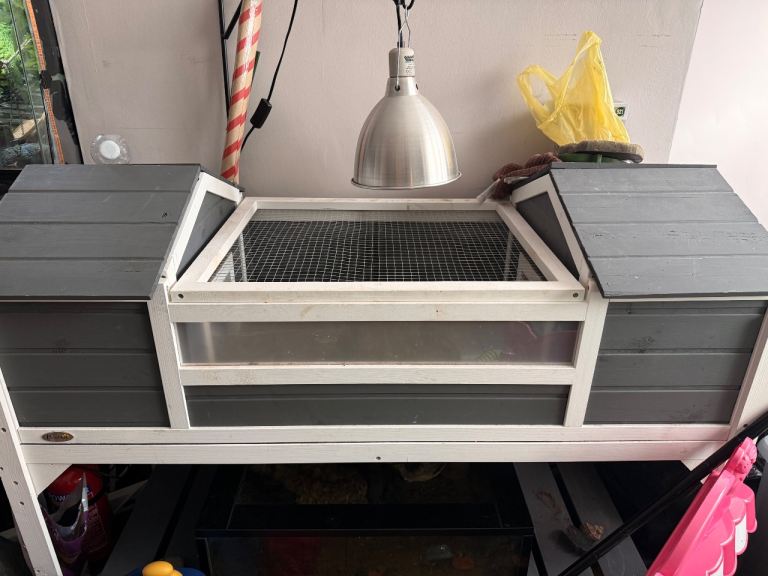 Tortoise table for sale 