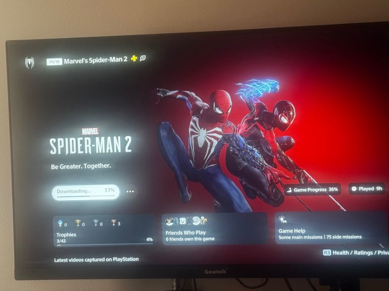 Gaming monitor
