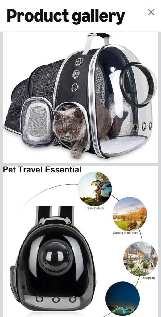 Cat carrier/backpack
