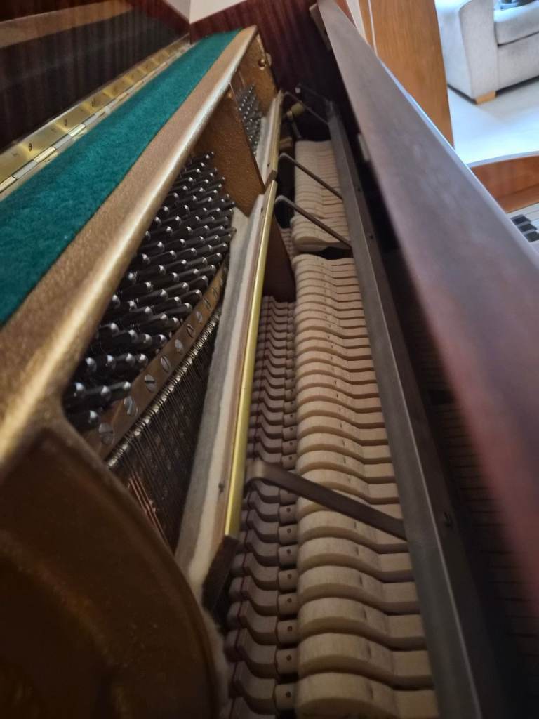 image for Alexander Herrmann Piano