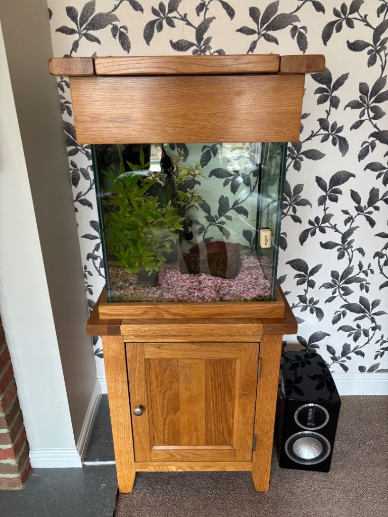 Aqua oak small cube fish tank. 