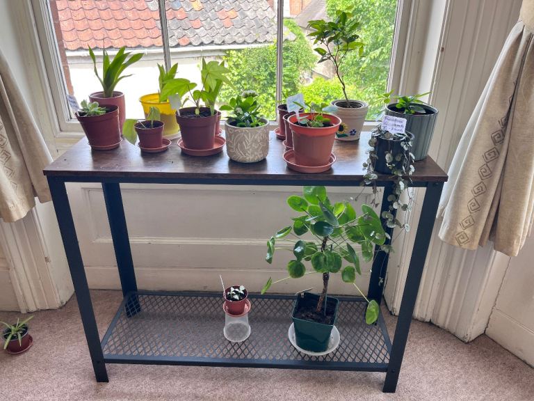 Plant stand / console table