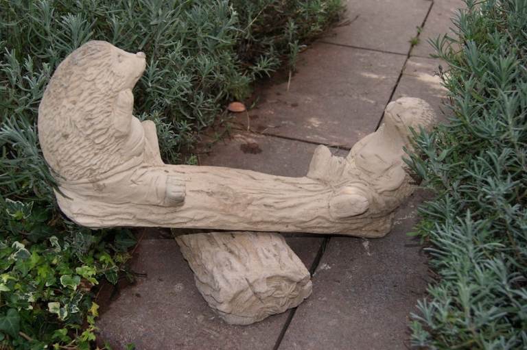 A really cute pair of hedgehogs enjoying all the fun of a seesaw.