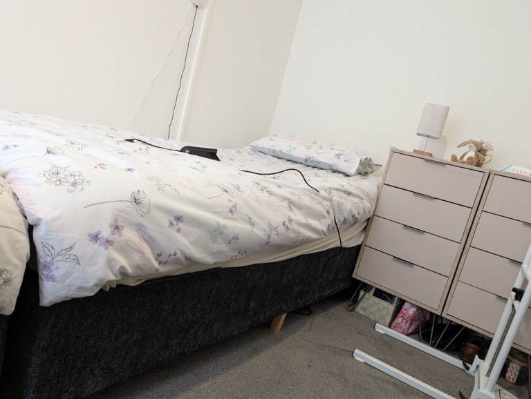 Sleep kings electric bed 