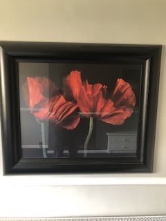 Red Poppy Print in Black Frame – Good Condition