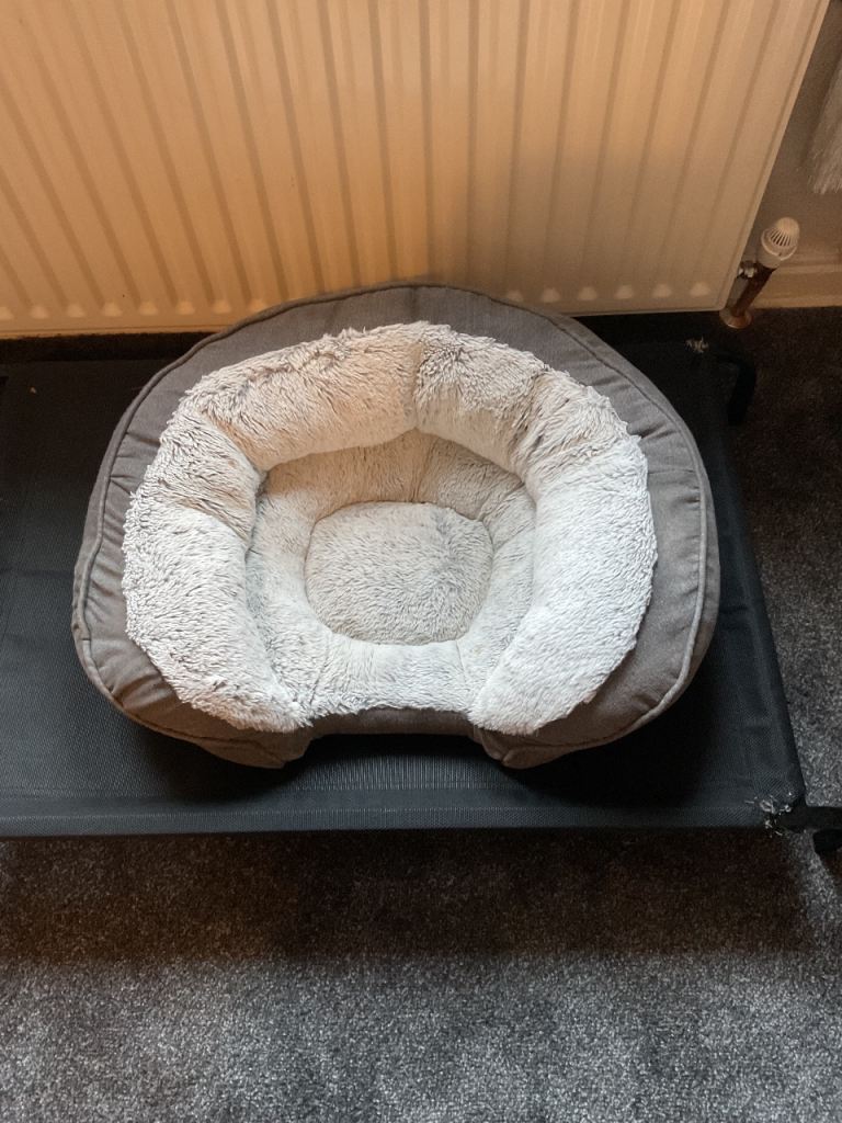 Small dog bed 