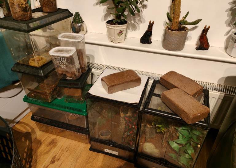 Various Exoterra Vivariums and enclosures. 