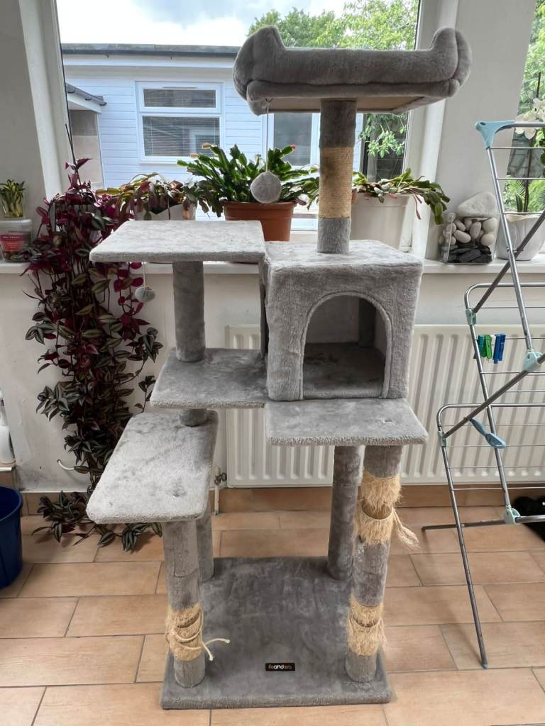 Large cat frame