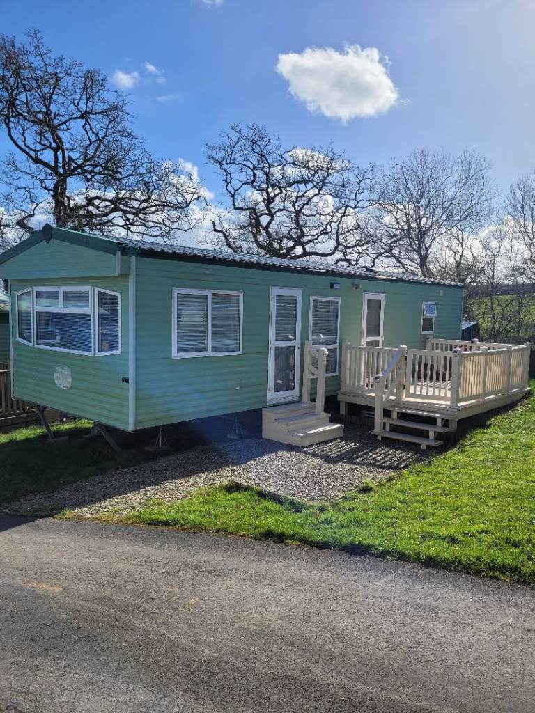 Cosalt baysdale  6 birth 2005 SITED WITH FEES PAID UNTIL FEB 2027