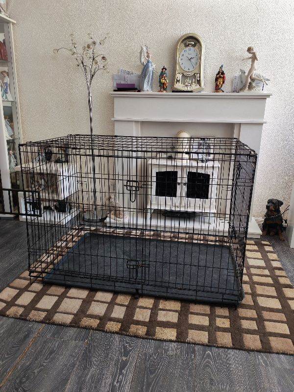 Large dog crate