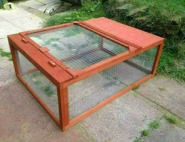 Rabbit run brand new 