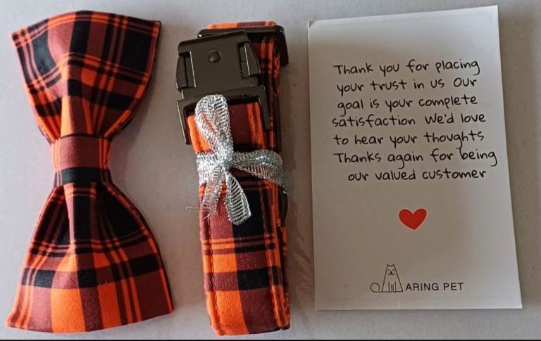 Dog bow tie and leash set