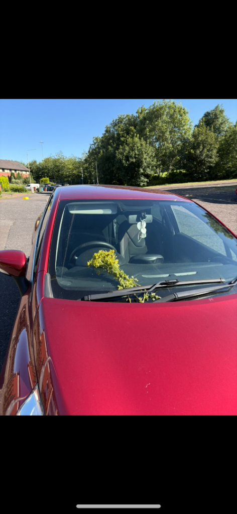 Renault, CLIO, Hatchback, 2018, Manual, 898 (cc), 5 doors