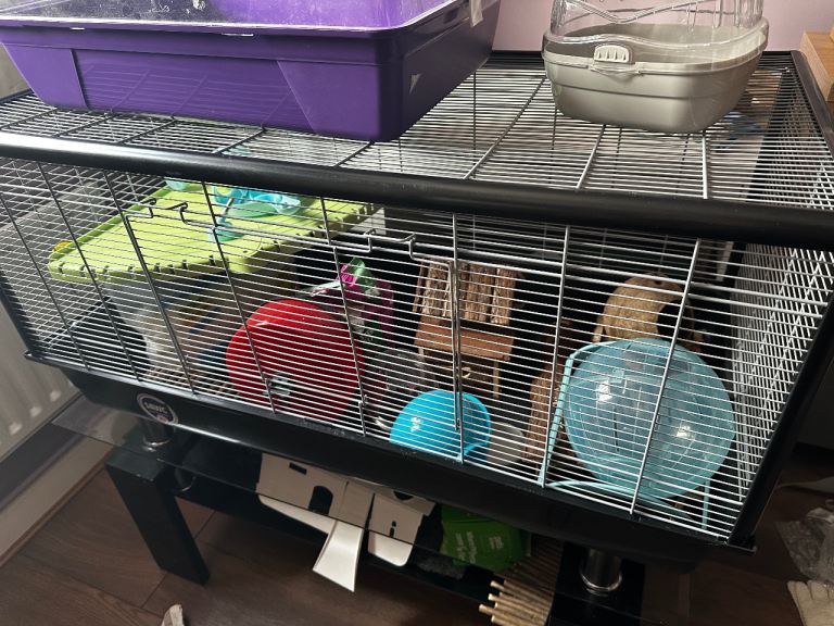 Hamster Cage + Glass Table + More