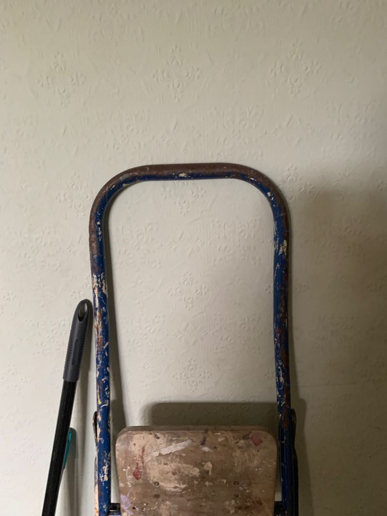 Free step ladder probably 5’