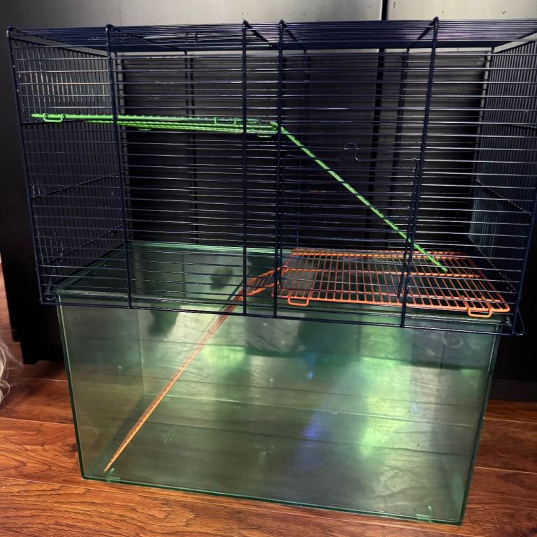 Gerbil hamster rodent cage 