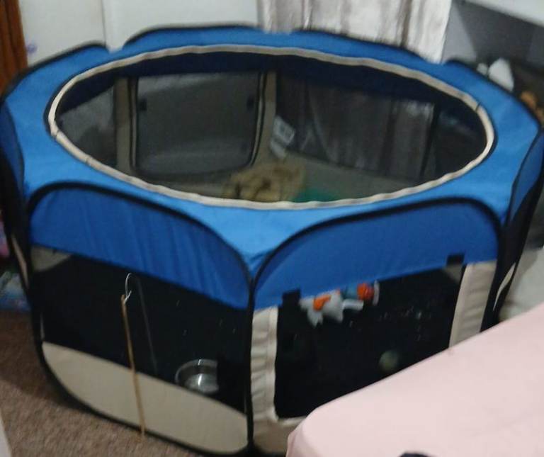 Portable Blue Pet Playpen for Small Animals