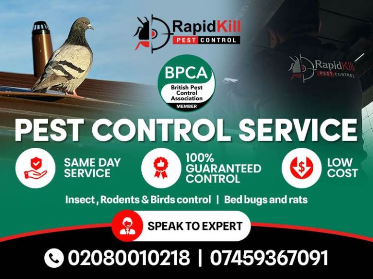 BPCA Pest control Mice Rat bedbugs cockroaches wasps mouse pest removal service 100%