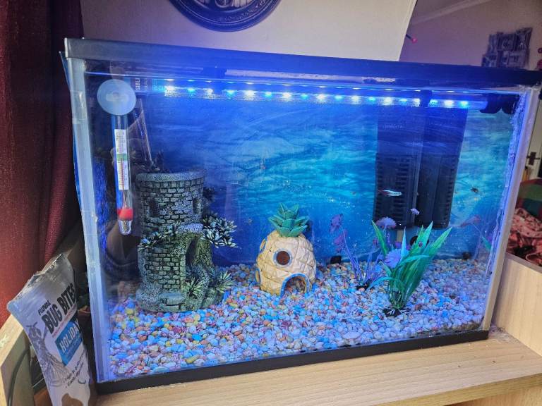 Fish tank bundle!