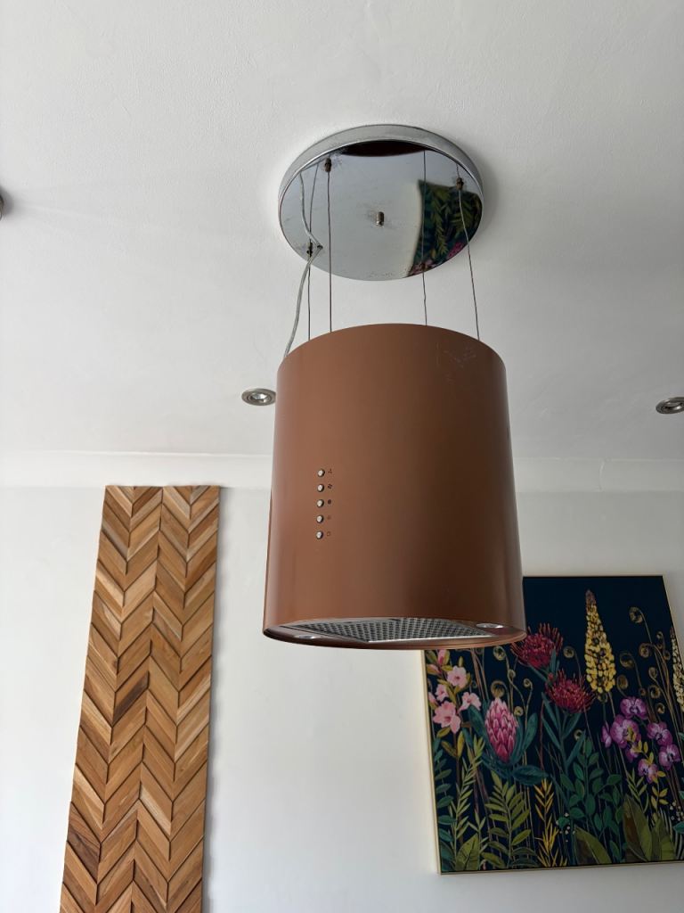 Ceiling extractor 
