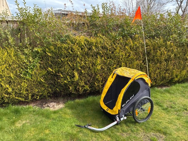 Burley Bee Bike Trailer