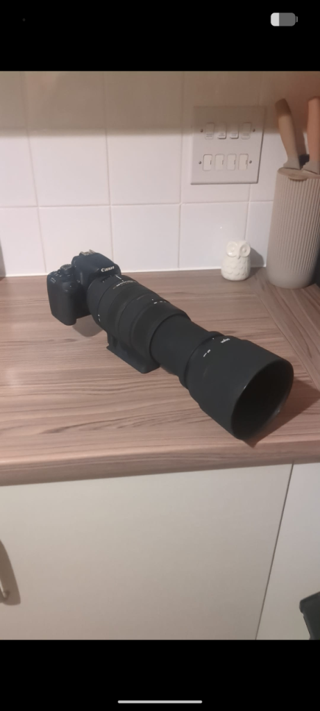 Canon 700d with sigma dg 120-400