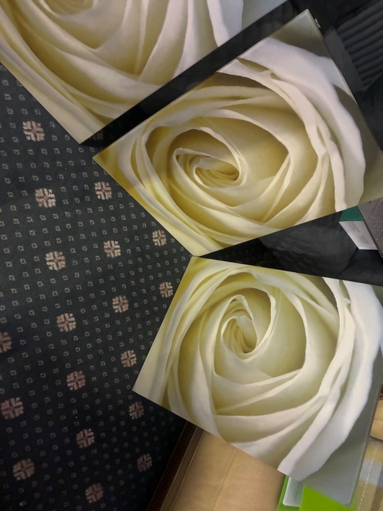 Three matching yellow rose pictures 