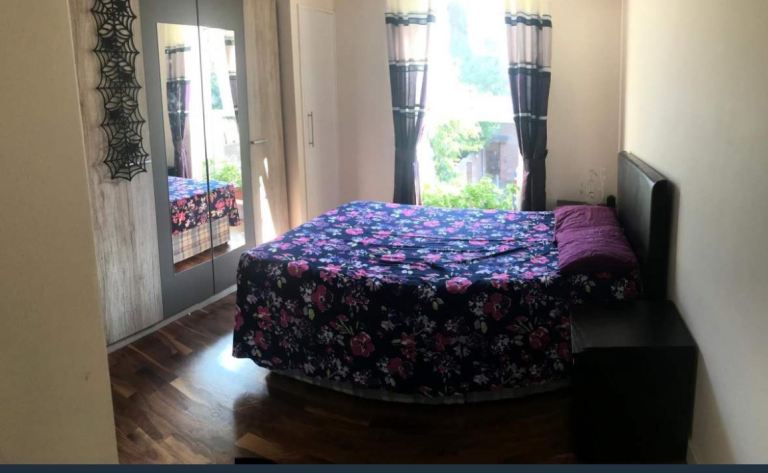 Private room for rent in an apartment 