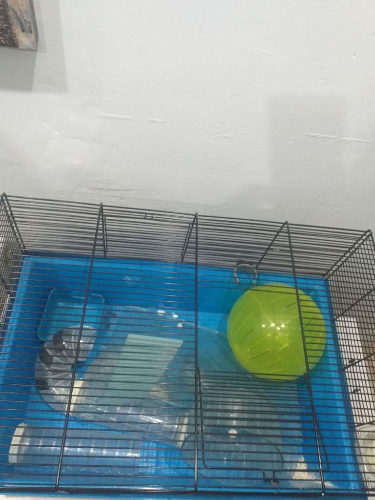 Hamster cage