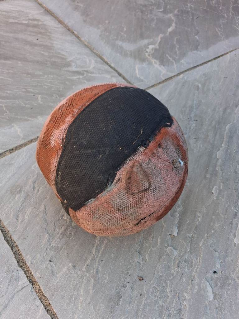 FREE old basketball? Dog toy