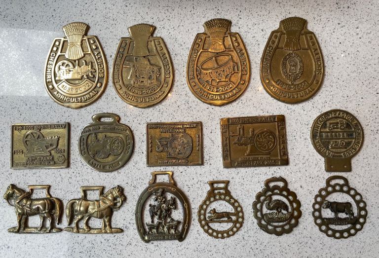 Various Cheshire Agricultural Society & 1000 Engine Rally Horse Brasses