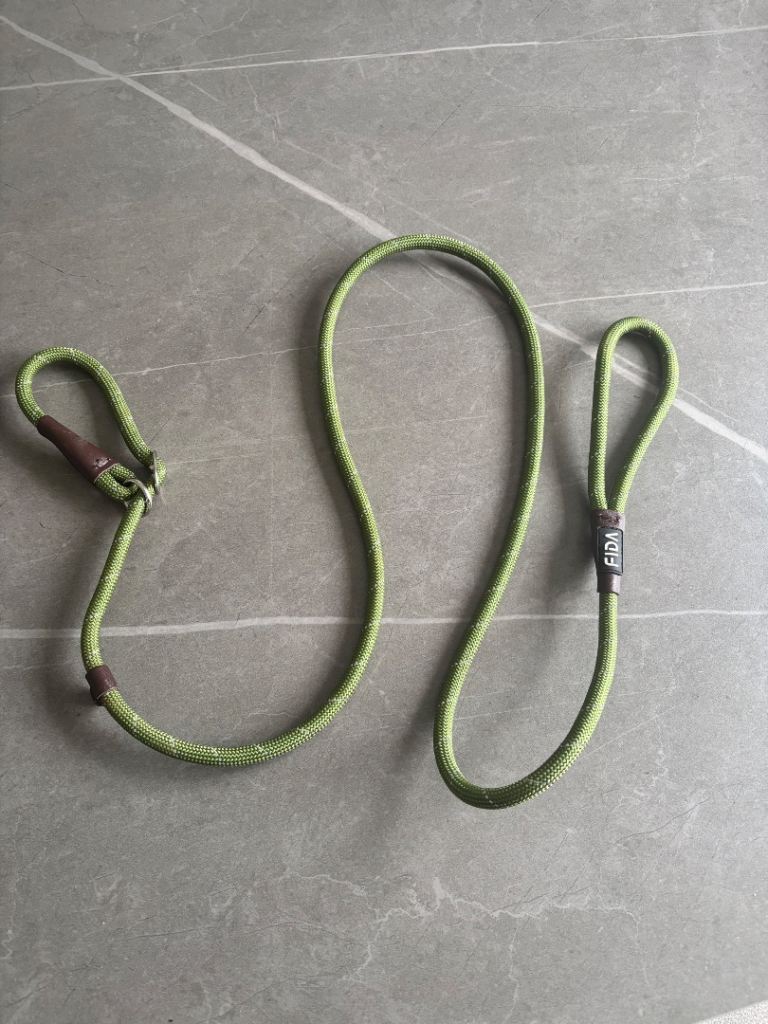 Dog slip lead
