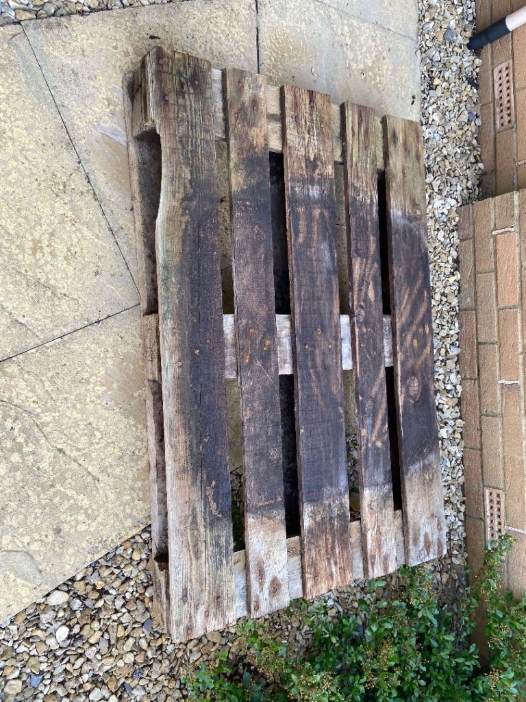 Free wooden pallet