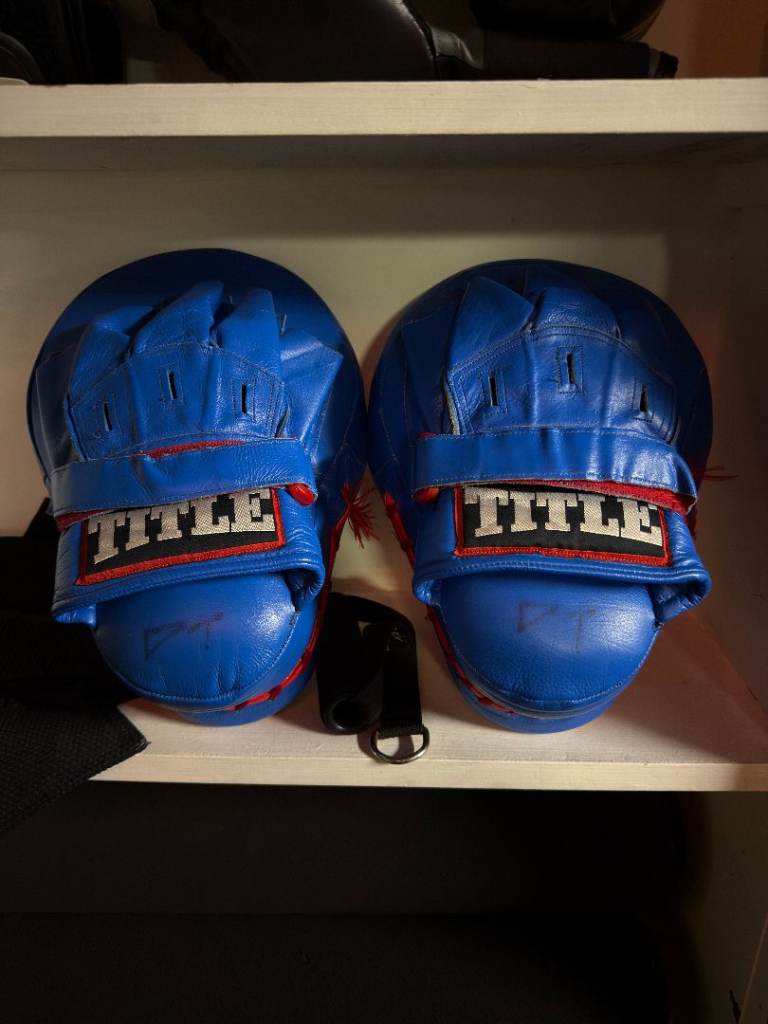 Boxing mitts and gloves